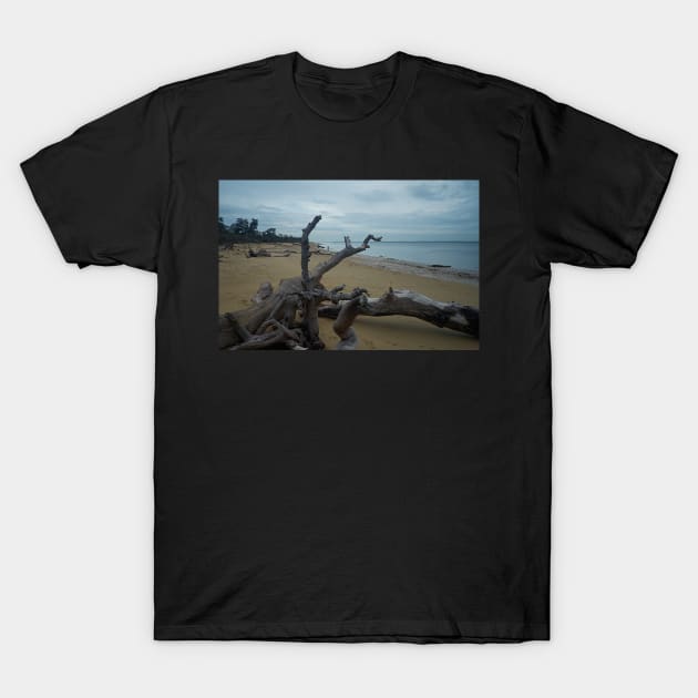 On the shore T-Shirt by athexphotographs